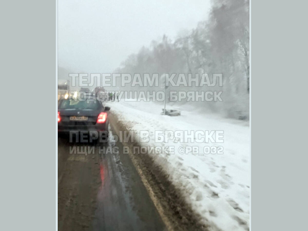 Легковой автомобиль вылетел в кювет на брянской трассе