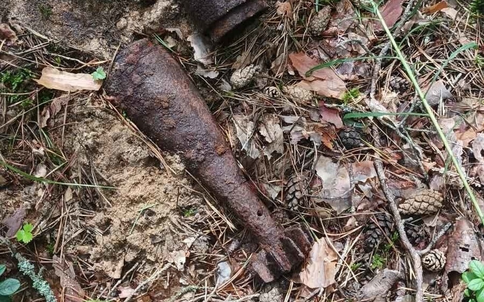 На Партизанской поляне в Брянском районе найдены боеприпасы времен войны