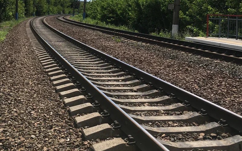 Стала известна причина экстренной остановки поезда «Брянск — Москва»