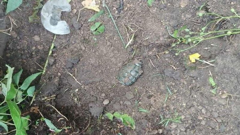 В Дубровке Брянской области обезвредили гранату Ф-1