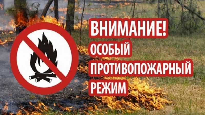 В лесах Брянщины до 9 сентября будет действовать особый противопожарный режим