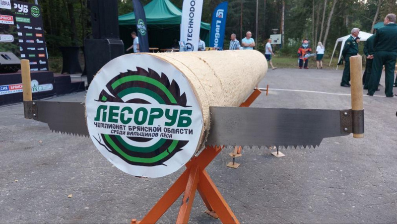В Брянской области проходит чемпионат среди вальщиков леса «Лесоруб-2022»