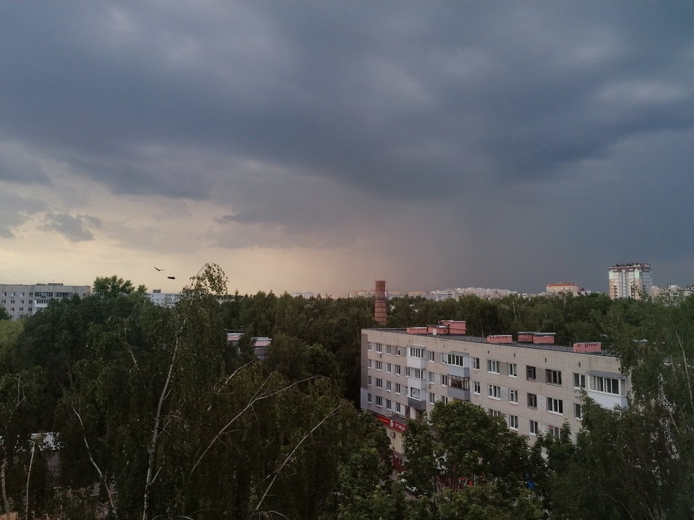 В Брянской области 10 августа ожидаются дожди с грозами