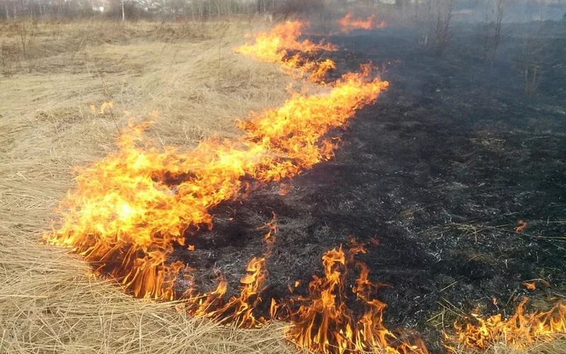 Под Новозыбковом сгорели трактор и пожарная машина, есть пострадавшие