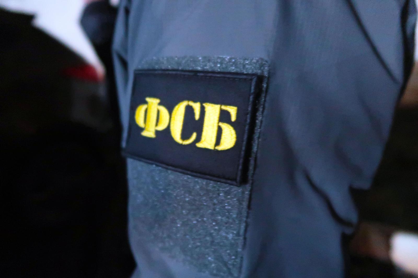 Сотрудники ФСБ поймали брянца, призывавшего в интернете к экстремизму