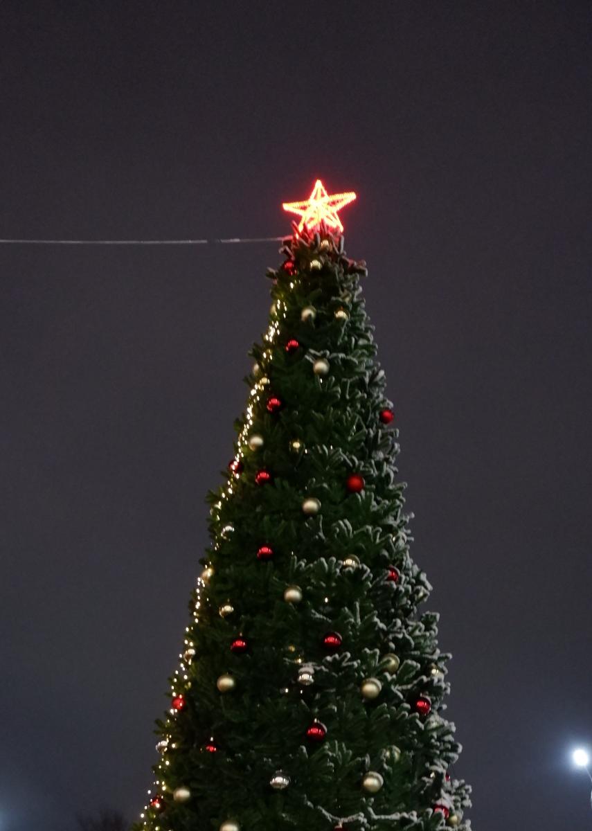 Новогодние елки из Стародуба и Мглина признали лучшими в Брянской области