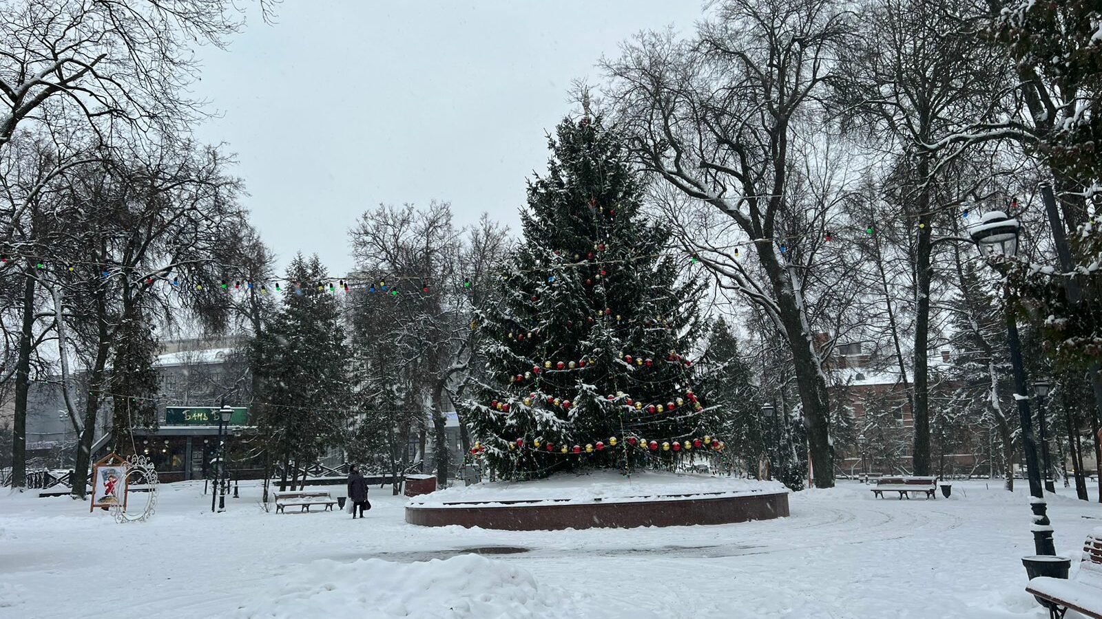 В Брянске нарядили главную новогоднюю елку