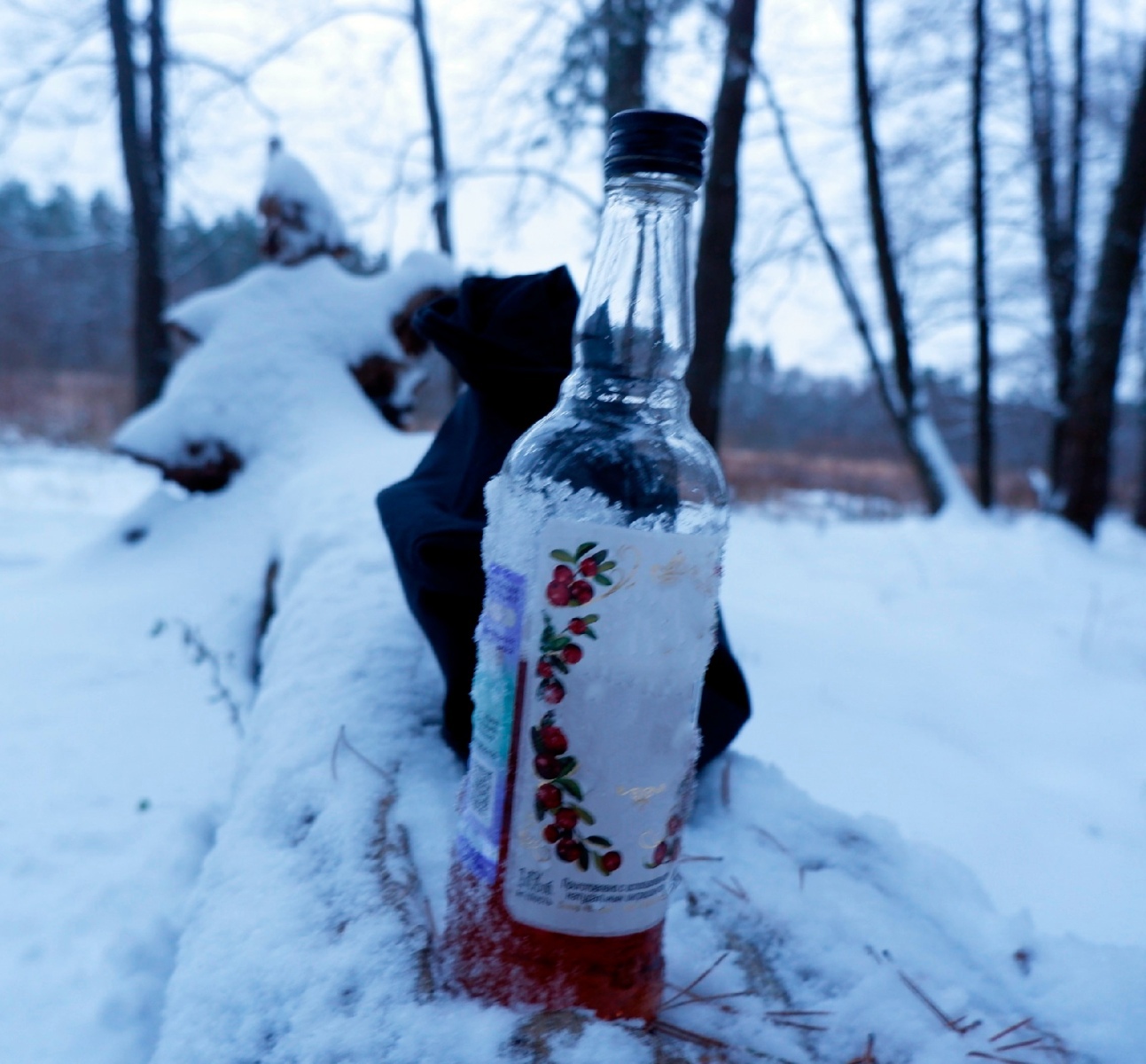 Нарколог раскрыл секрет женского алкоголизма на юго-западе Брянской области