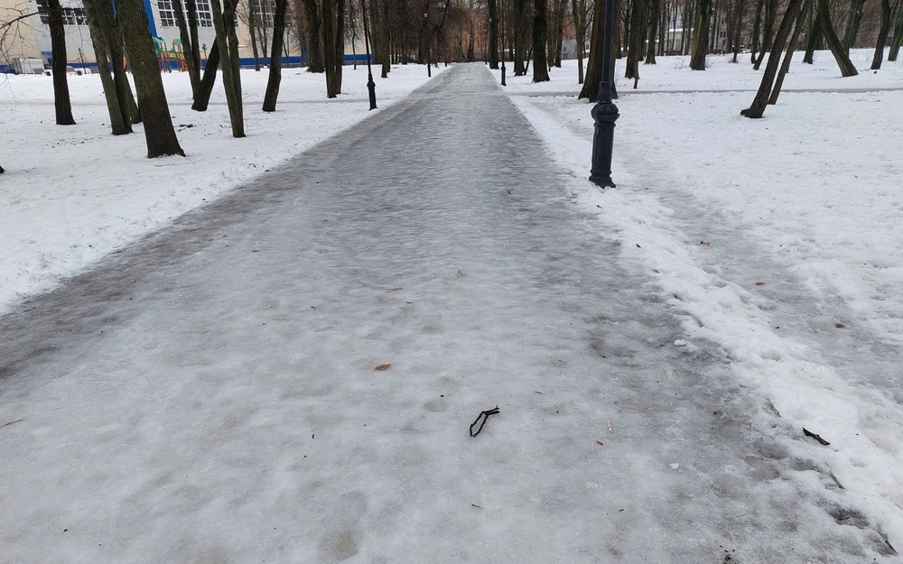 В брянском парке Пушкина дорожки превратились в каток