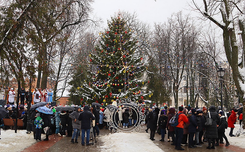 В Брянске торжественно открылась главная городская елка
