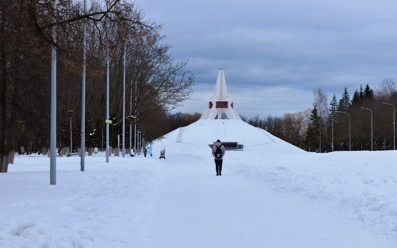 Для жителей Брянской области утро началось с 12-градусных морозов