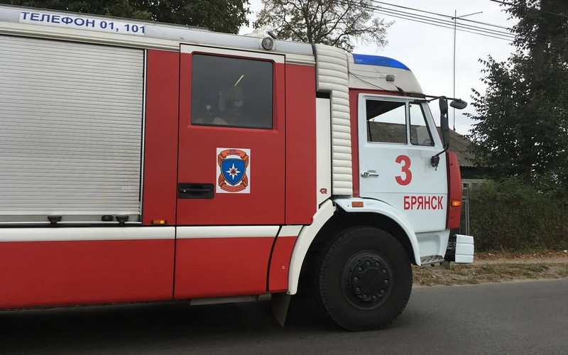 С начала года в Брянской области при пожарах спасли 57 человек
