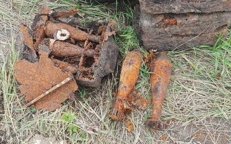 В поле под Карачевом обнаружили 21 ржавую мину