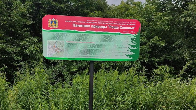 В Брянской области поставили аншлаги в «Роще Соловьи»