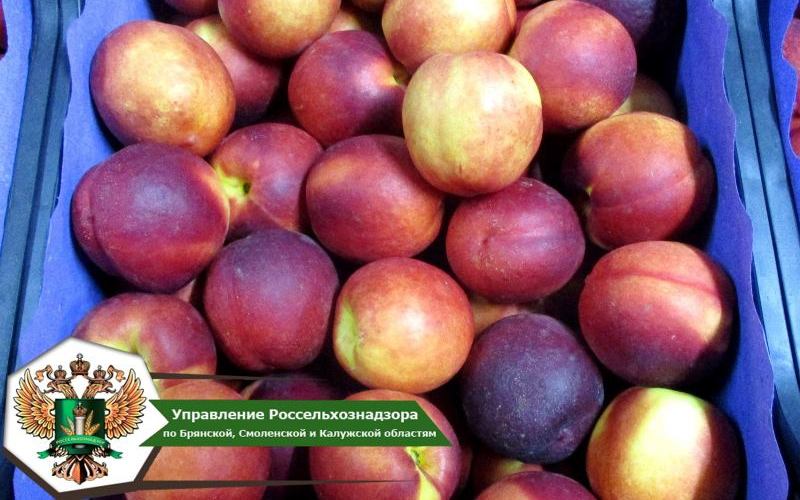 Из Брянской области в Турцию вернули 60 тонн зараженных персиков и яблок