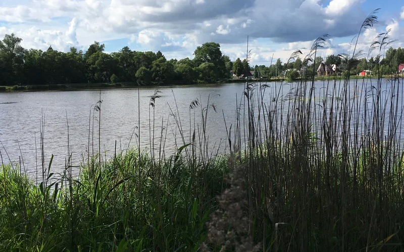 В Фокинском районе Брянска в озере Мутном утонул 18-летний парень