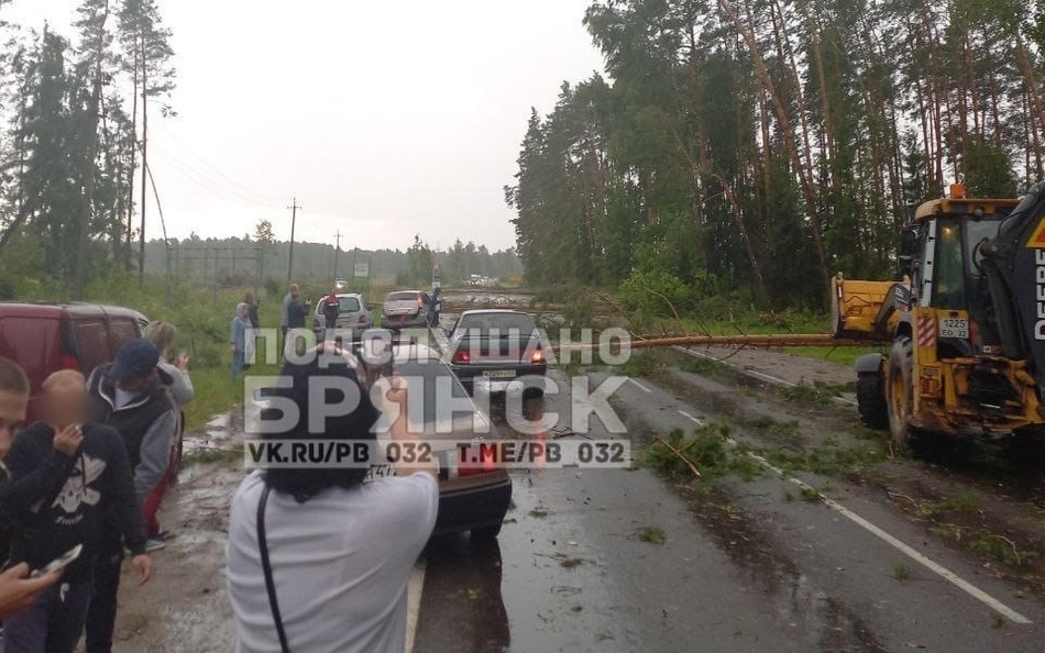 20 июля в Брянске ураганный ветер повалил 18 деревьев
