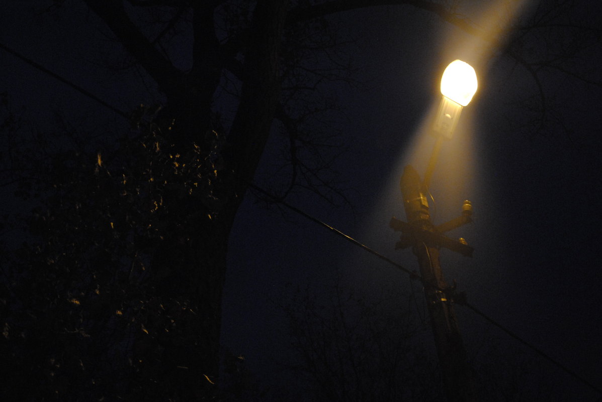 В Советском районе Брянска 4 улицы осветят новые фонари