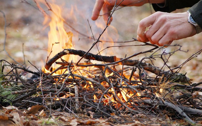 До 30 июля в лесах Брянской области ввели особый противопожарный режим