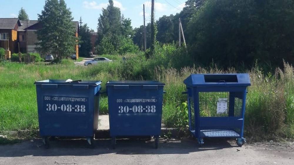 В Брянске зеленые и желтые мусорные контейнеры покрасят в синий цвет