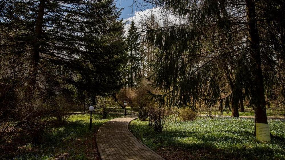 В Брянске в ботаническом саду имени Б. В. Гроздова 7 мая пройдет экскурсия