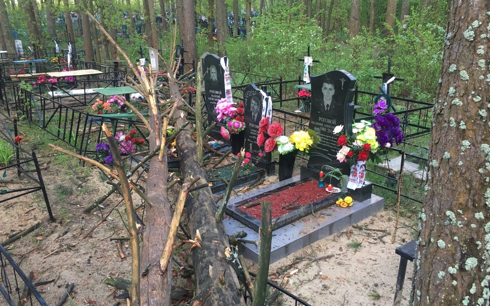 В Новозыбкове на кладбище повалились деревья