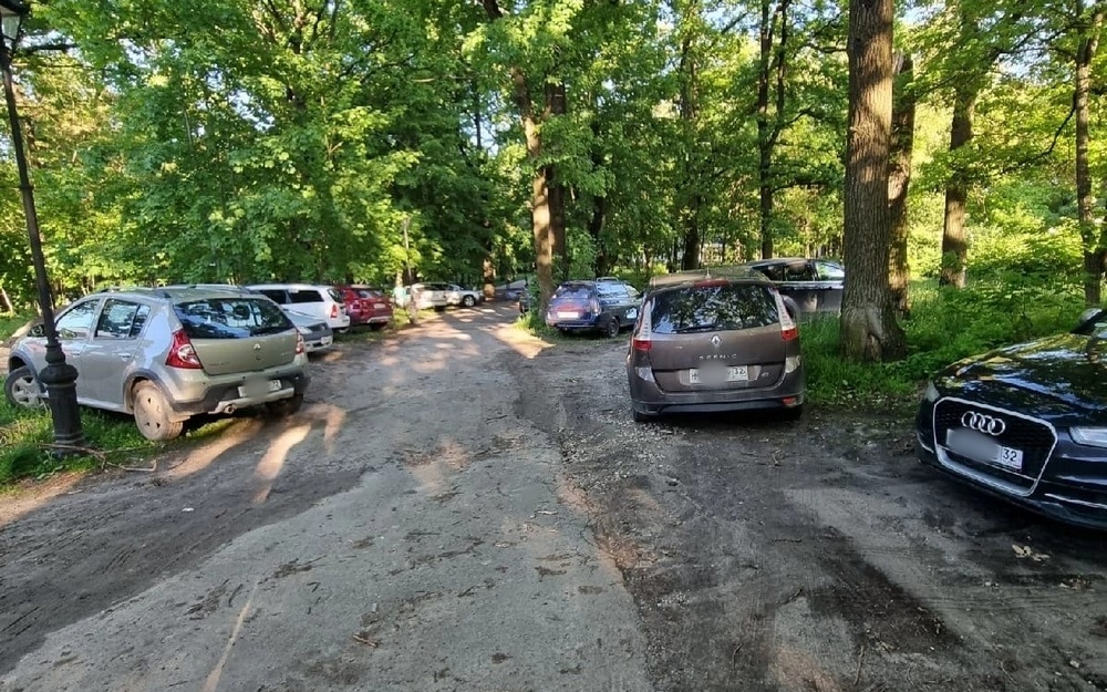 Водители превратили парк Пушкина в Бежицком районе Брянска в парковку