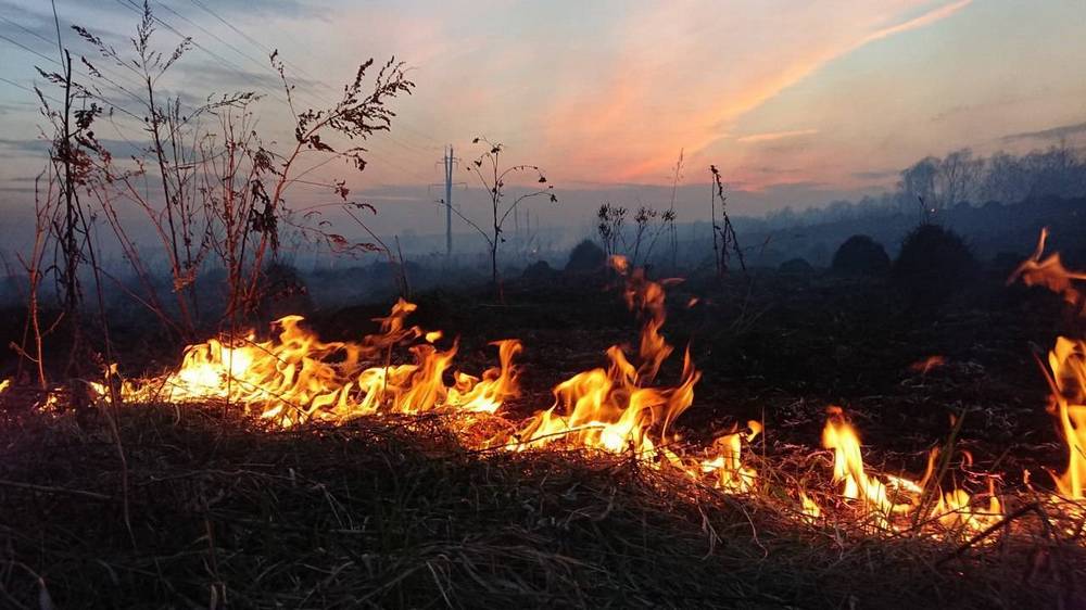 В Брянской области за сутки предотвратили 25 возгораний сухой травы