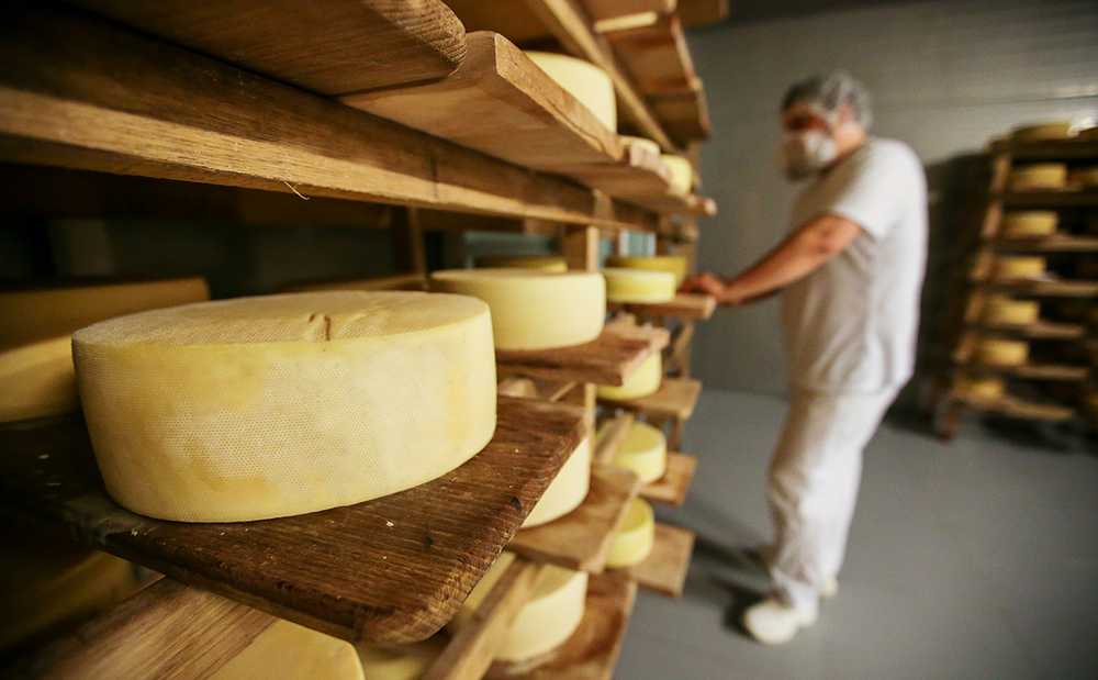 В Роскачестве забраковали «Российский» сыр двух брянских производителей