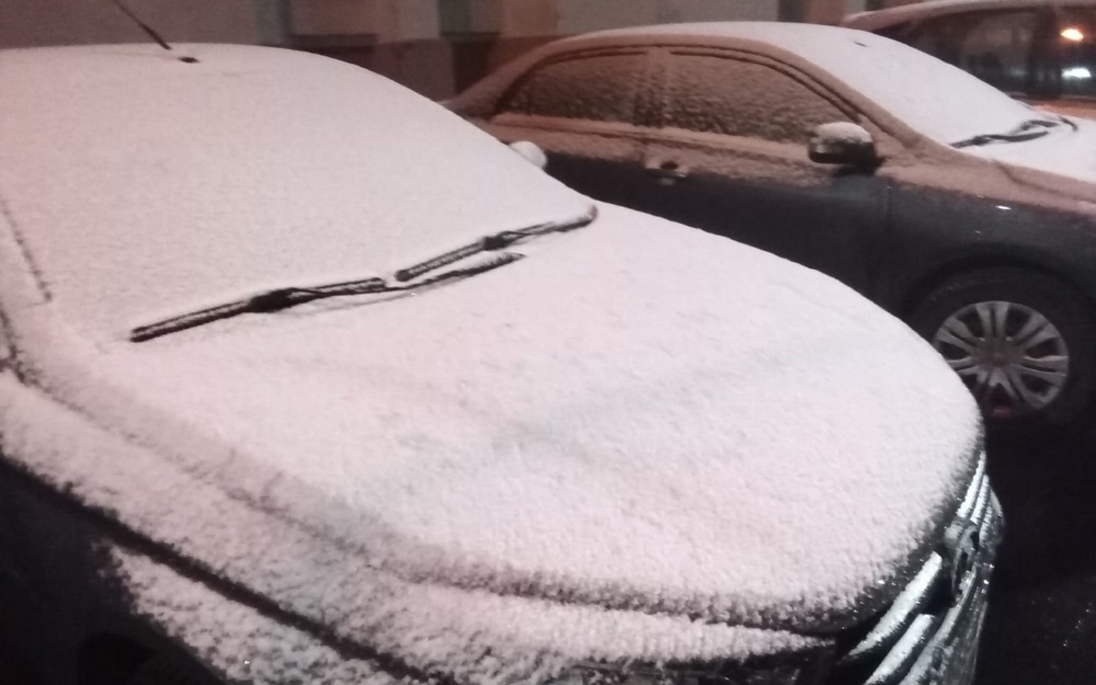 В ночь на 7 ноября в Брянске выпал мокрый снег