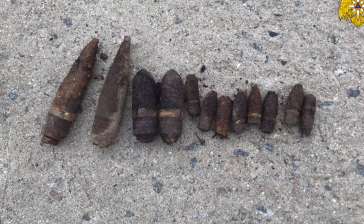 В Брянской области нашли и обезвредили 15 боеприпасов