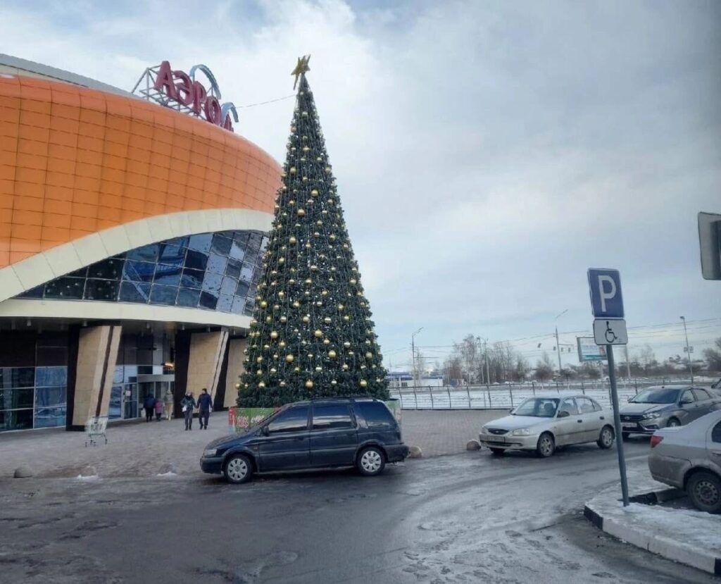 В Брянске появились новогодние елки возле торговых центров
