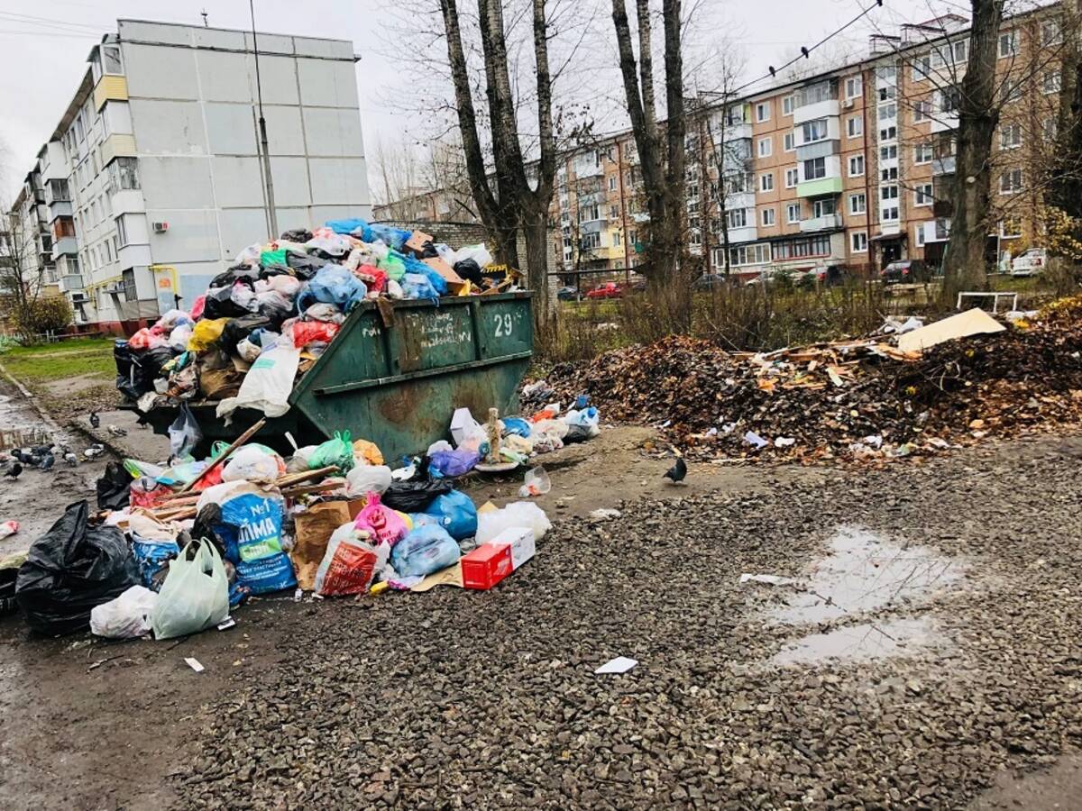 В Брянске увидели мусорный Армагеддон на Новом Городке