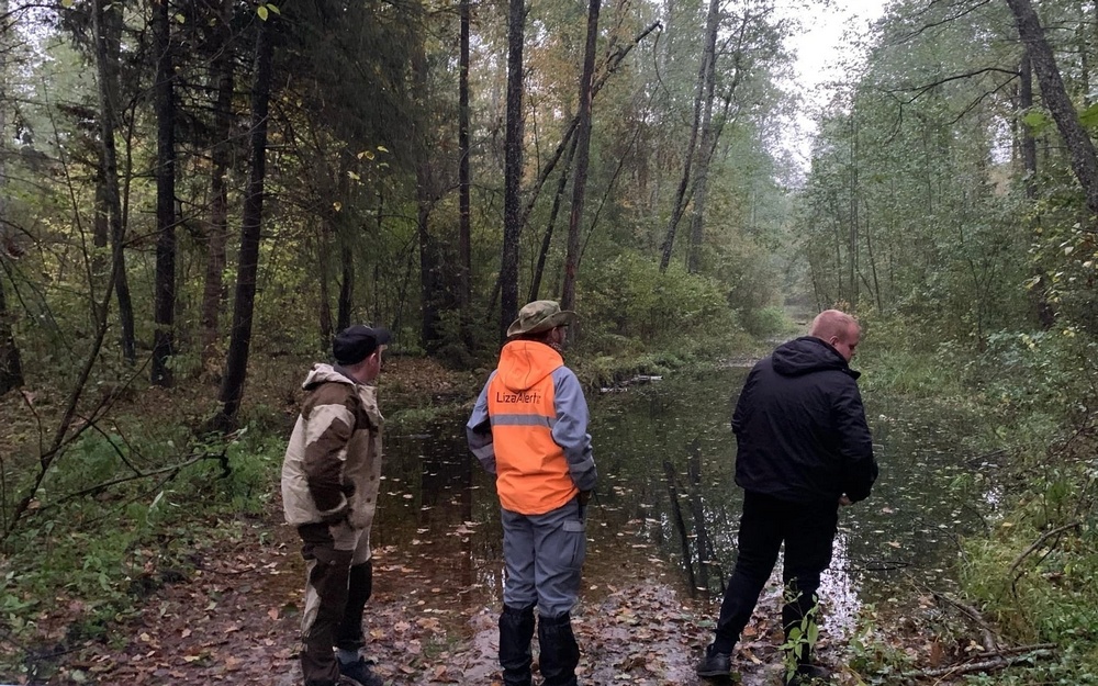 В лесу под Брянском спасли заблудившуюся второй раз 70-летнюю грибницу