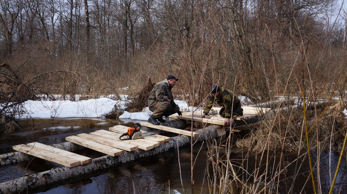 Что нам стоит мост построить, или Как добровольцы делали переправы под Брянском