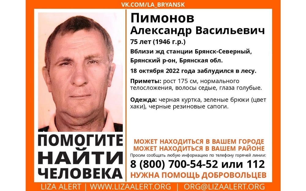 В лесу под Брянском заблудился 75-летний Александр Пимонов