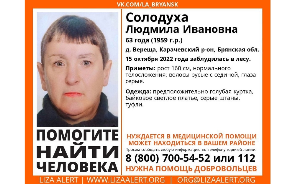 В лесу под Карачевом заблудилась 63-летняя Людмила Солодуха