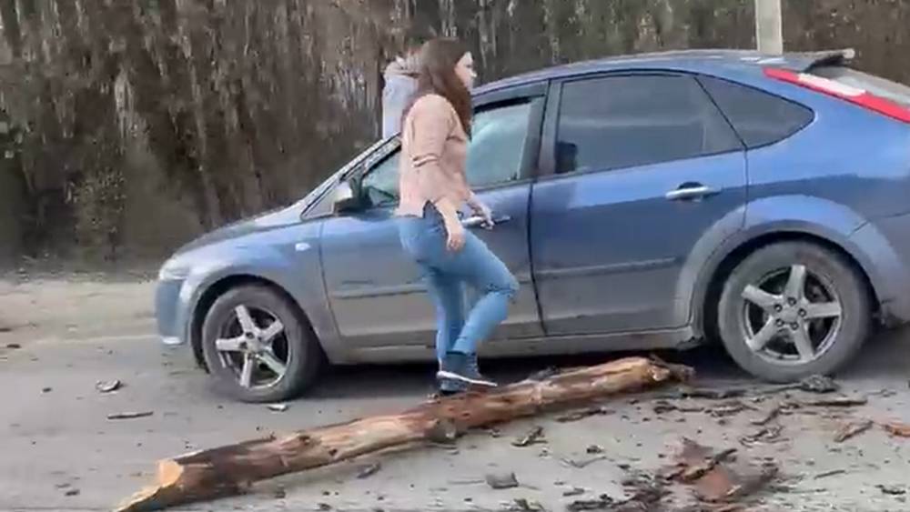 На улице Снежетьский вал в Брянске на машину обрушилось гнилое дерево
