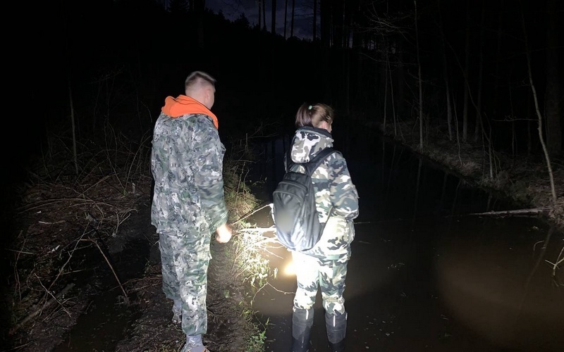 В лесу под Новозыбковом чудом спаслись два заблудившихся грибника