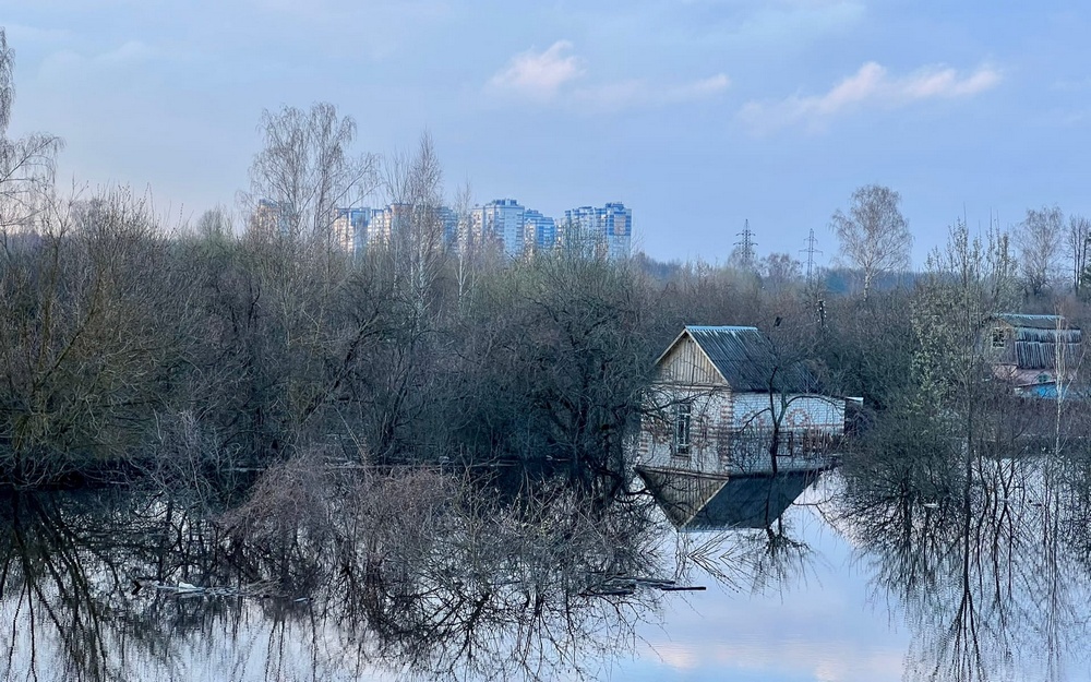 В Брянске из-за паводка затопило еще пять домов