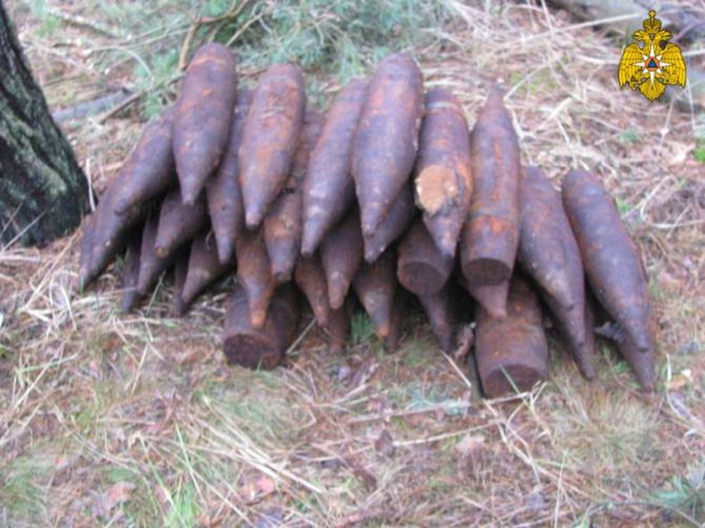 В Брасовском районе в лесу нашли арсенал снарядов и гранат