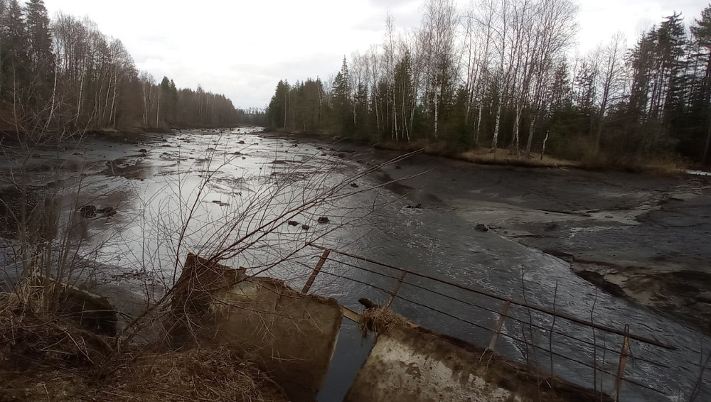 В Брянском районе в Стеклянной Радице исчезло лесное озеро
