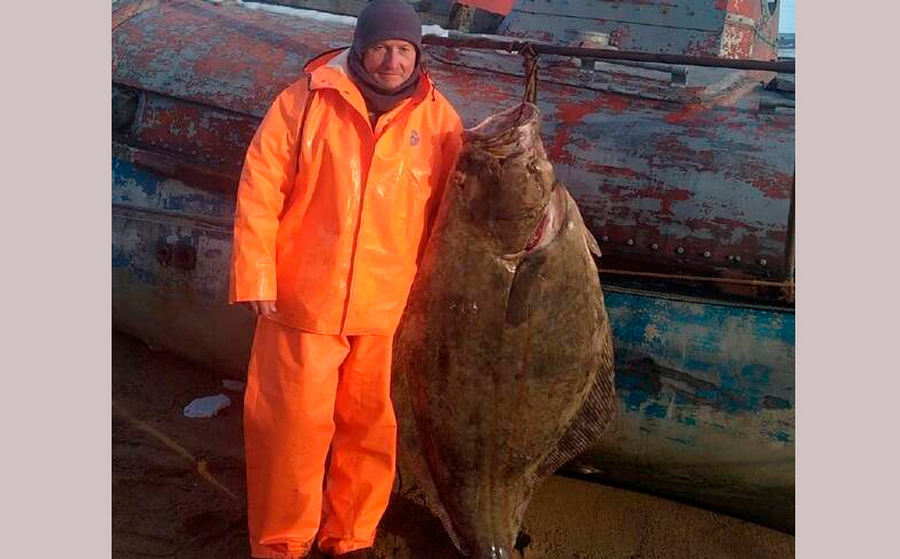 Рыбак из Брянска поймал гигантского 80-килограммового палтуса