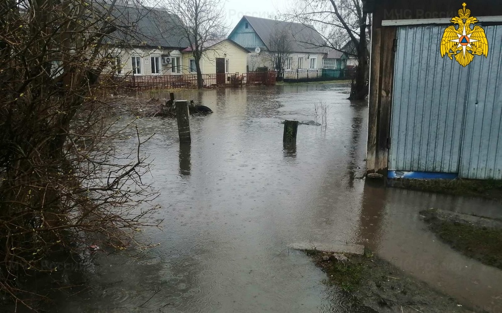 В Брянске затопило 9 домов и 11 приусадебных участков
