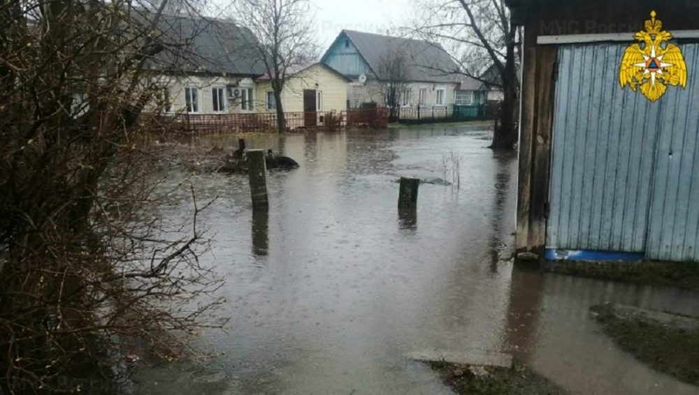 В Брянске из-за паводка затопило 38 домов и 492 участка