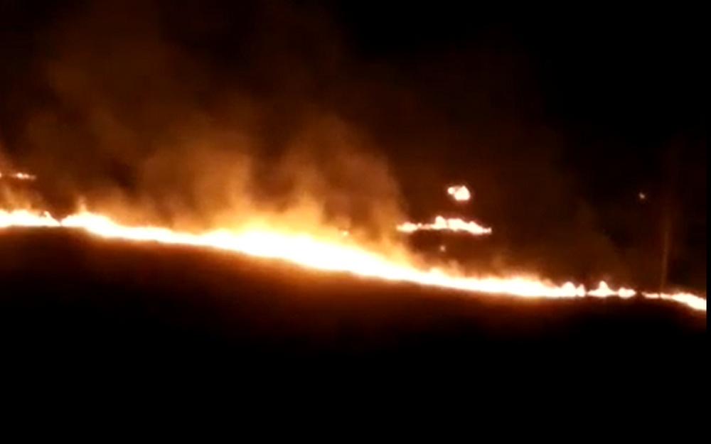 В Дятькове сняли на видео горящее возле общежития поле