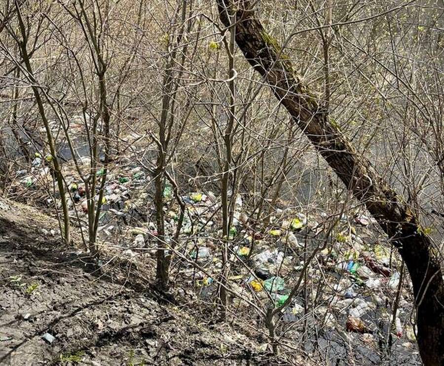 В Брянске горы мусора прибило к берегам реки