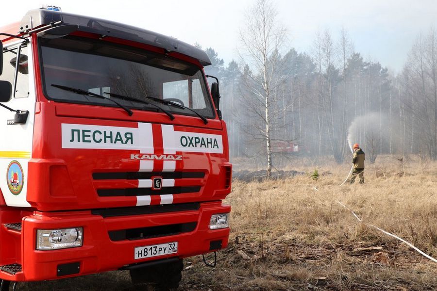 В брянских лесах с 18 апреля начнется пожароопасный сезон