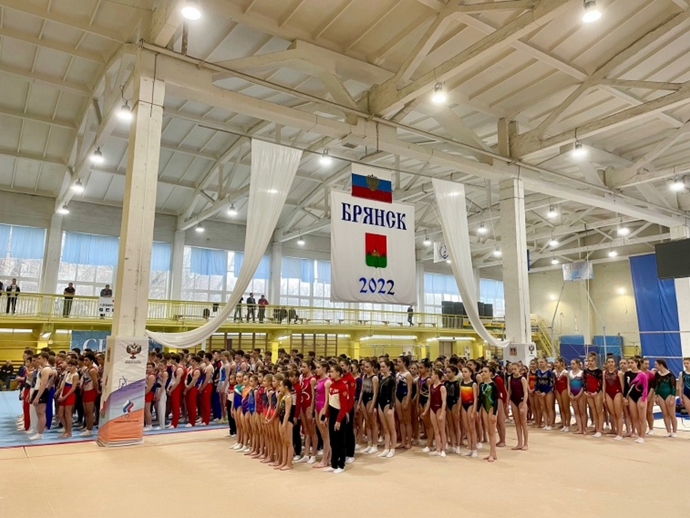 В Брянске в школе олимпийского резерва провоходят соревнования по спортивной гимнастике проходят