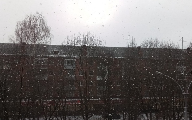В Вербное воскресенье Брянск припудрило снегом